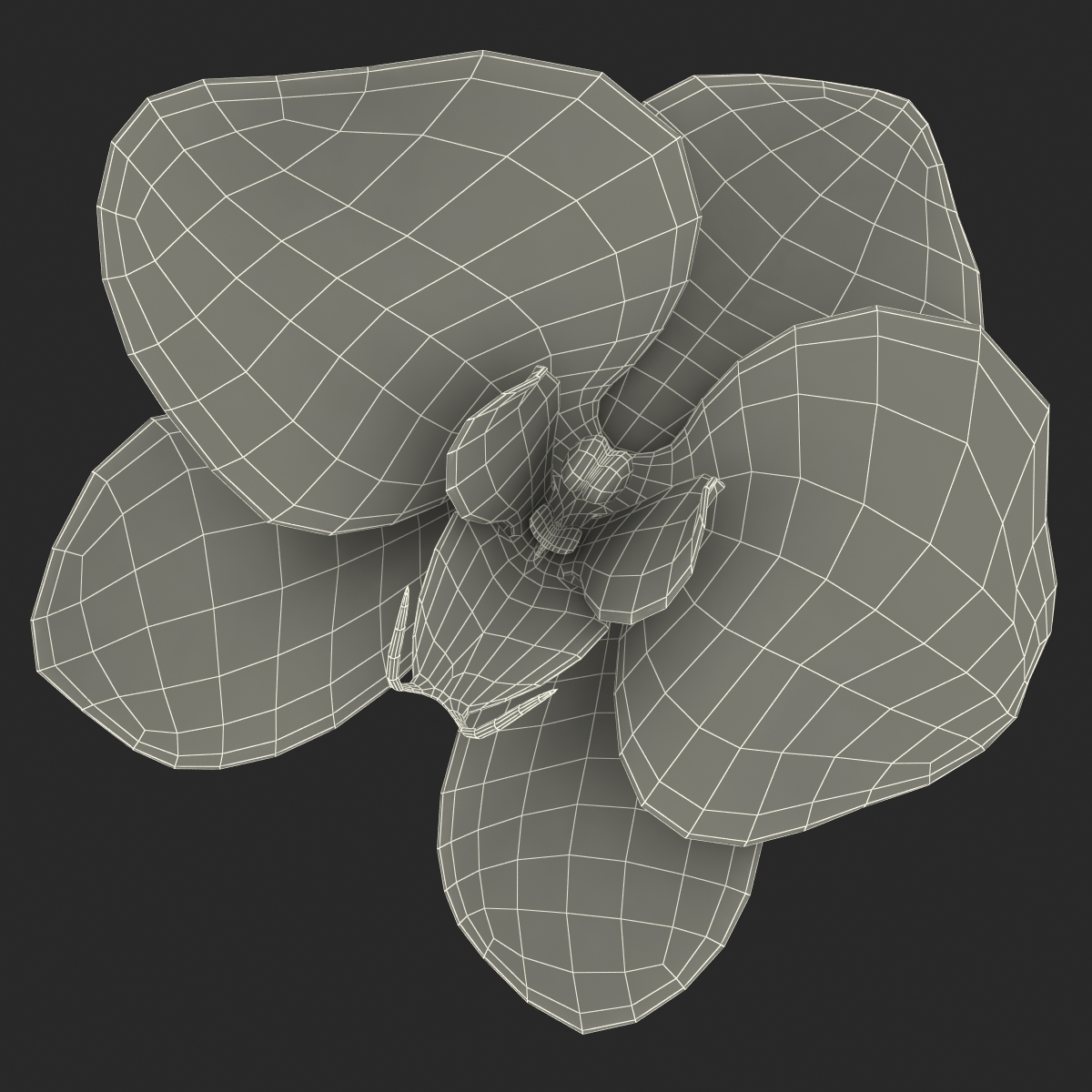 3d model of orchid flower