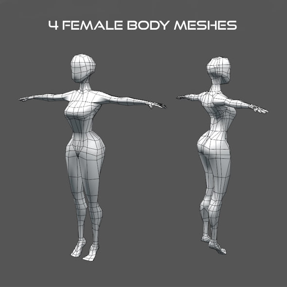3d model of female body meshes
