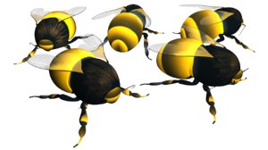 maya bees insects honey