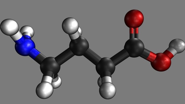 3d butyric acid structural model