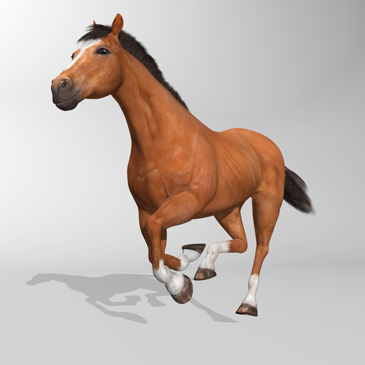 马(4合1套装)3d模型