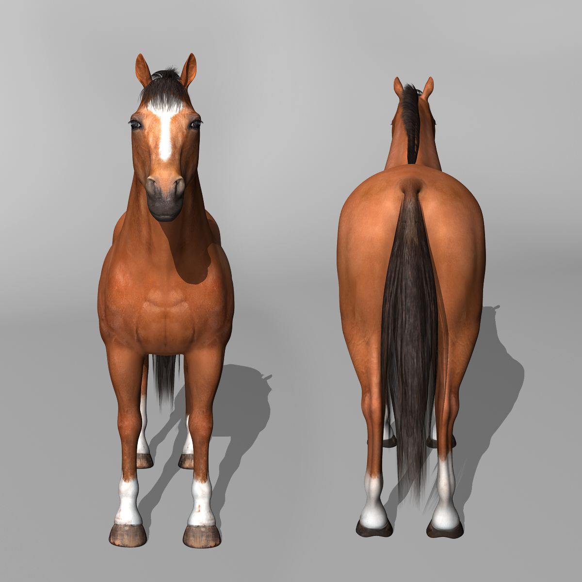 马(4合1套装)3d模型