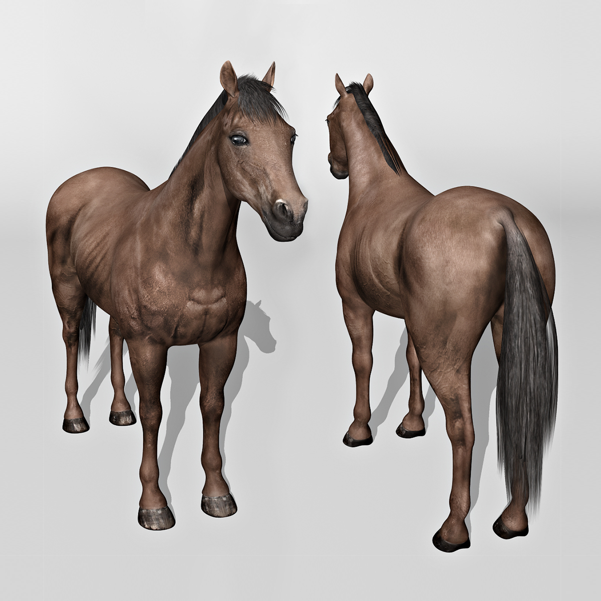 马(4合1套装)3d模型