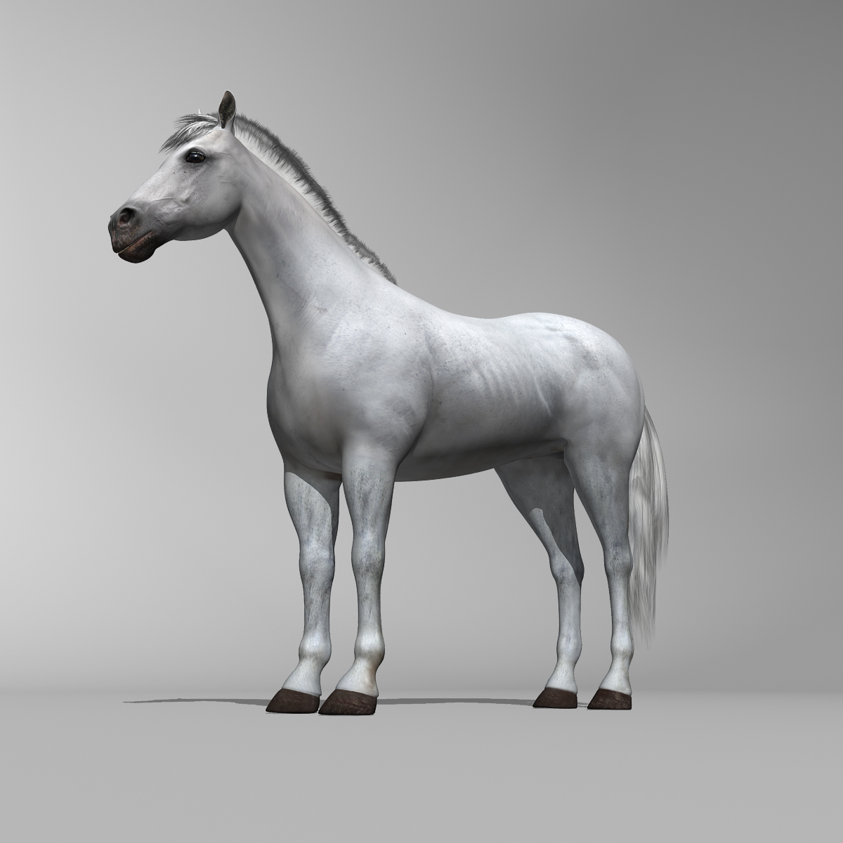 马(4合1套装)3d模型