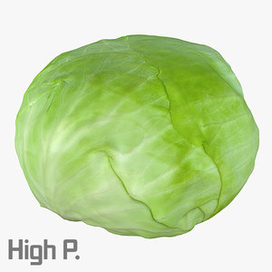 cabbage photorealistic scaned 3d max