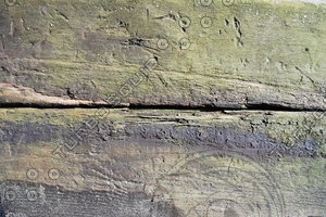 Railway Sleeper_0003