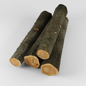 3d log model