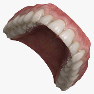 3dsmax realistic orthodontics