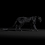 3d black panther fur animation