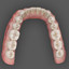 realistic orthodontics 3d max