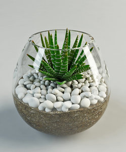 3d model cacti glass vase
