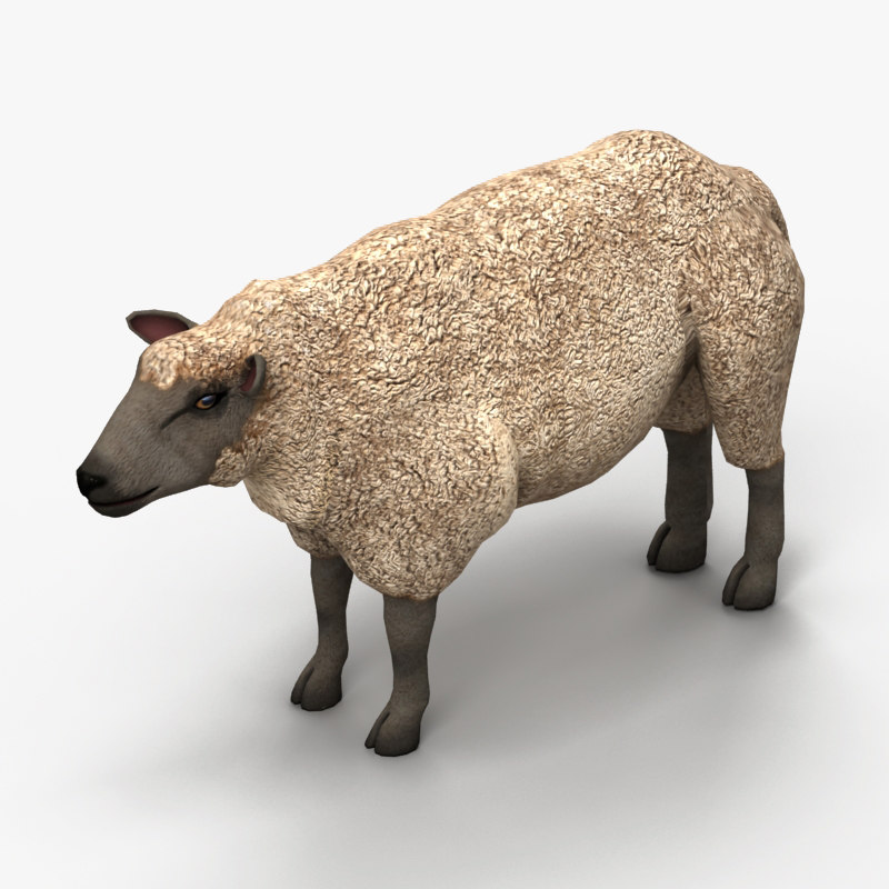 sheep model free blender 3d lamb model 3d sheep