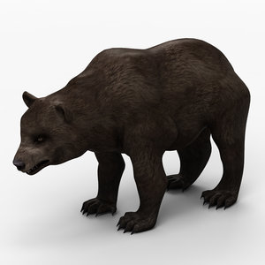 3d model bear