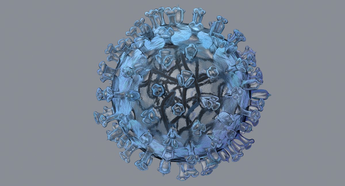 3d influenza virus model