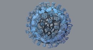 3d influenza virus model