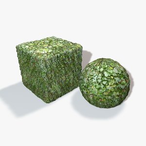 Ivy Wall Seamless Texture