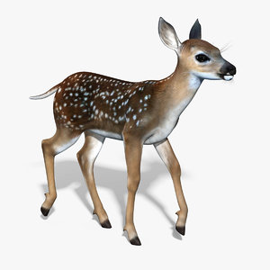 3d fawn baby deer rigged model