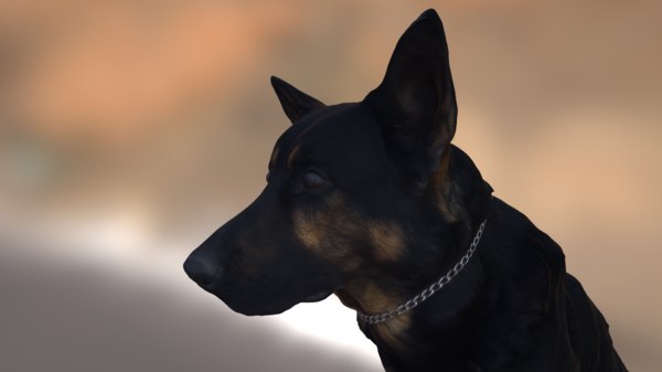 How To Info: Dog Breeds Necessities For Beginners