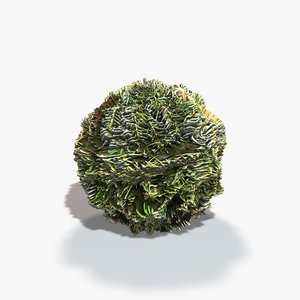 Pine Tree Seamless Texture