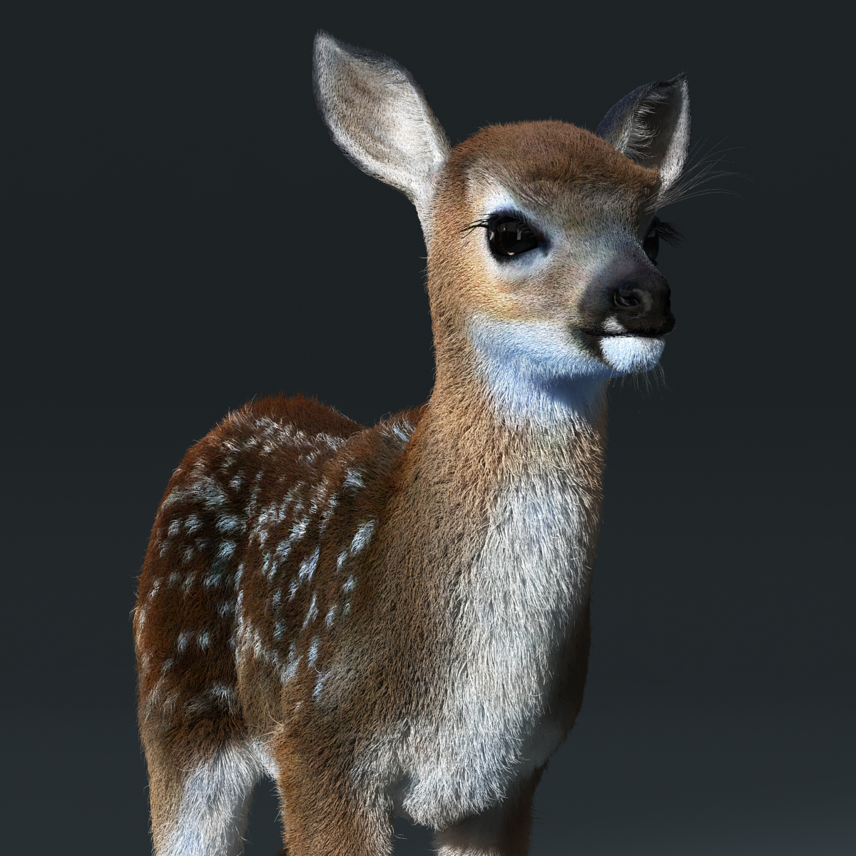 fawn baby deer fur 3d model