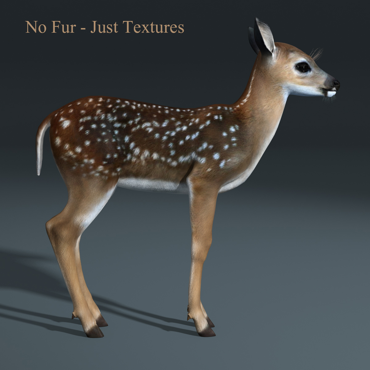 fawn baby deer fur 3d model