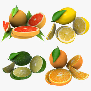 citrus fruit max
