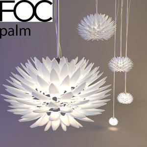 3d model of foc palm