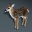 fawn baby deer fur 3d model