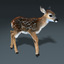 fawn baby deer fur 3d model