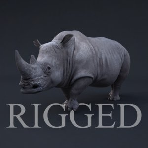 3d realistic rhino rig