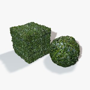 Seamless Bush Texture