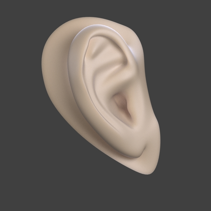 Free Human Ear 3d Model