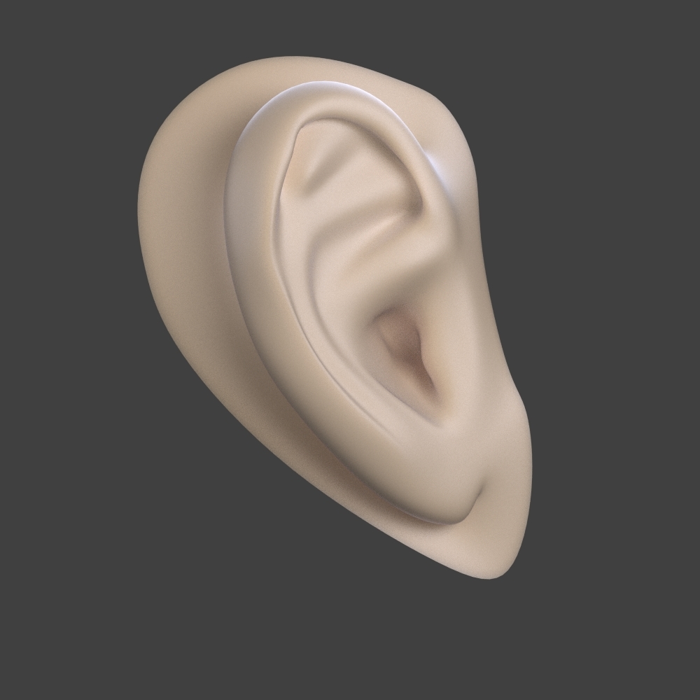 free human ear 3d model