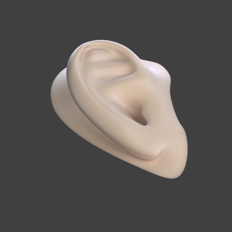 free human ear 3d model