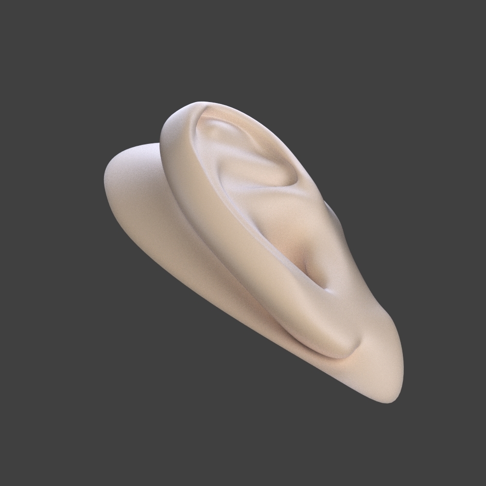 free human ear 3d model