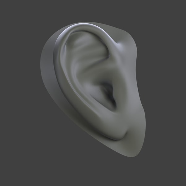 free human ear 3d model