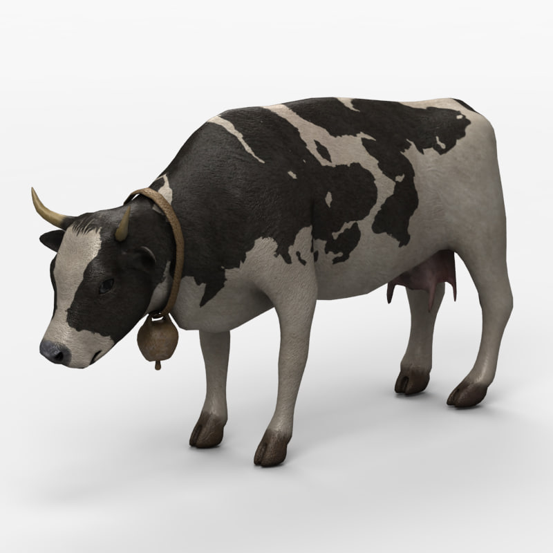 3d model cow