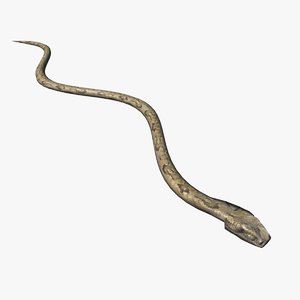 maya snake animate