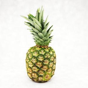 3d max realistic pineapple