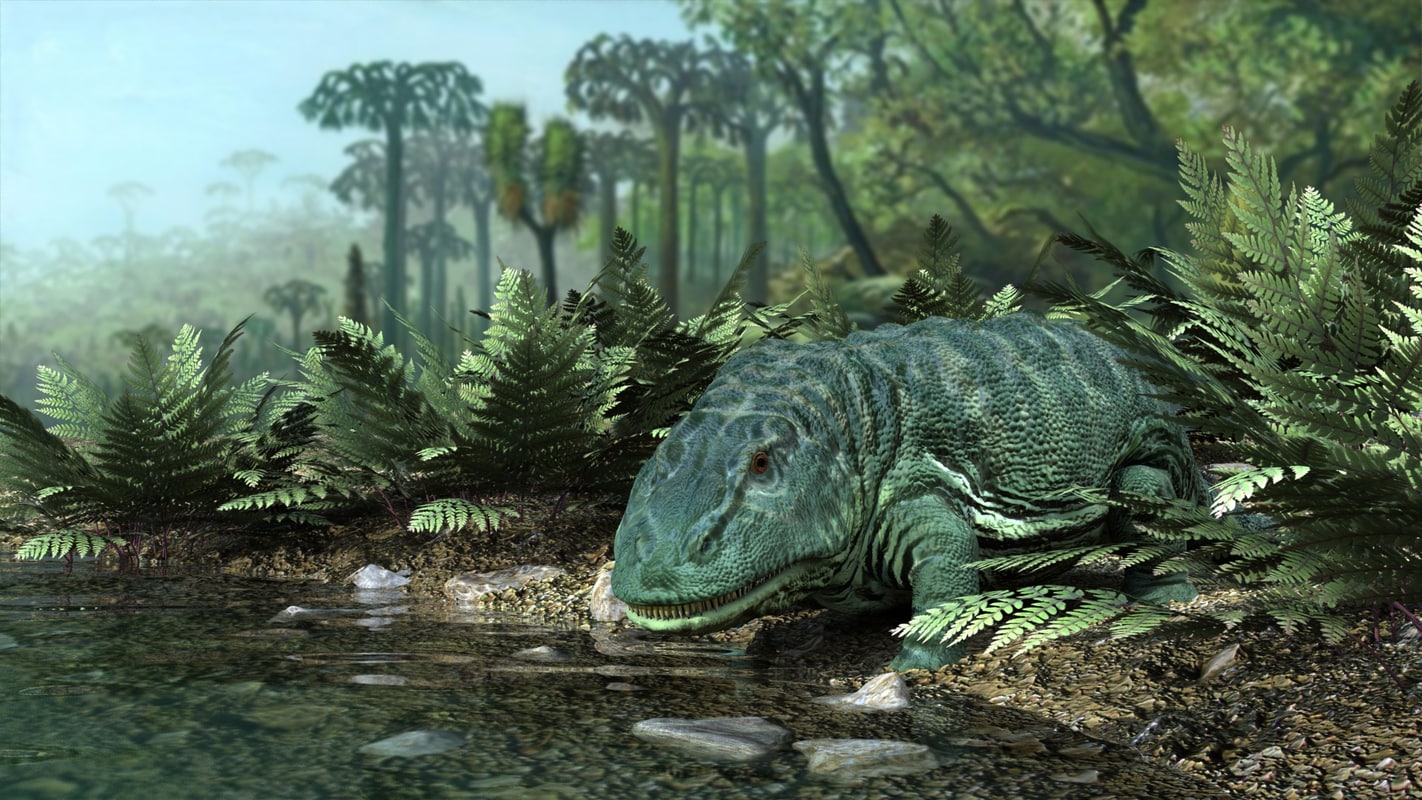 3d eryops amphibians model