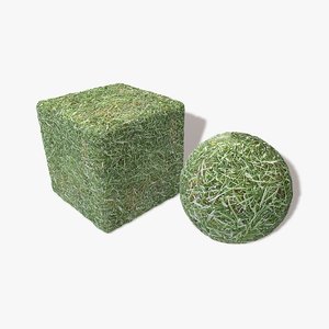 Bark Moss Seamless Texture