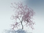 3d realistic sakura tree model