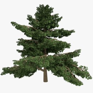 3d model realistic platanus tree type