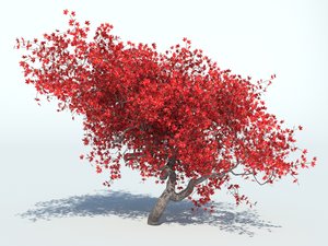 realistic maple tree max