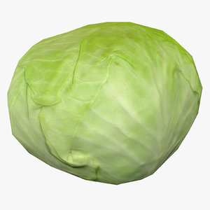 cabbage - obj