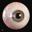 3d max realistic human eye -