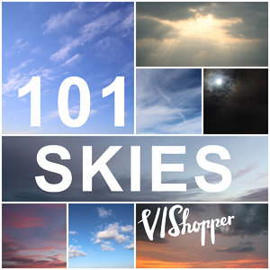 101 VIShopper Skies