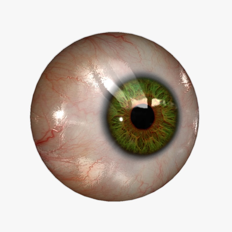 realistic human eye 20 3d max