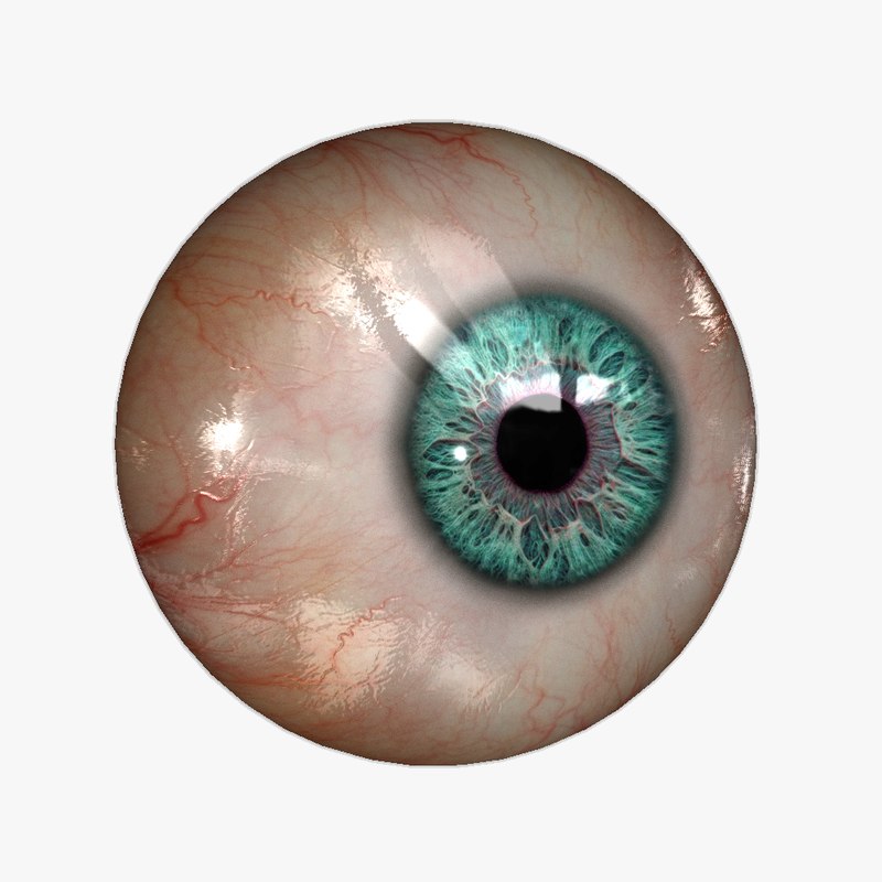 realistic human eye 20 3d model