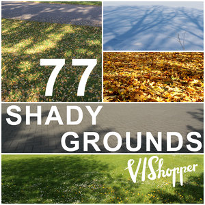 77 Shady VIShopper Grounds